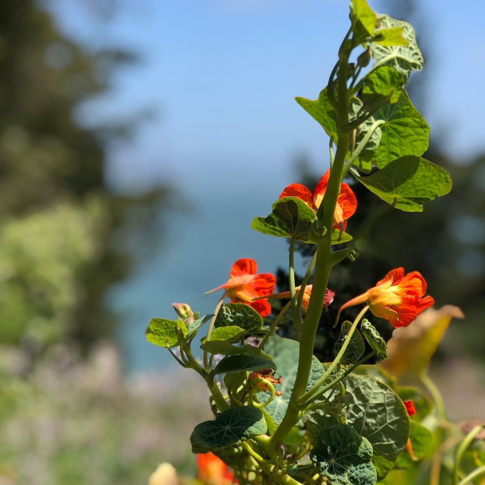 Meet your Posher, Kat